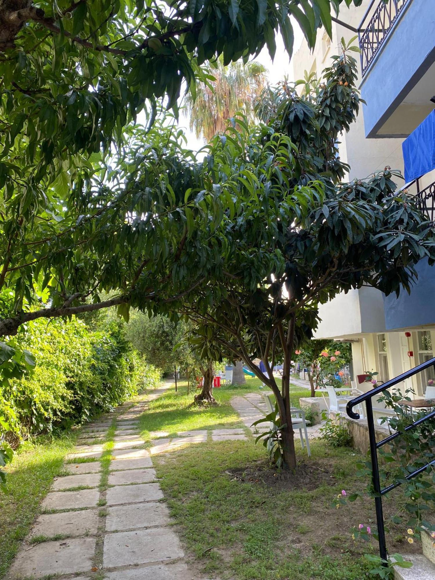 Linda Hotel